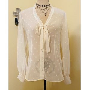 EXPRESS sheer chiffon blouse